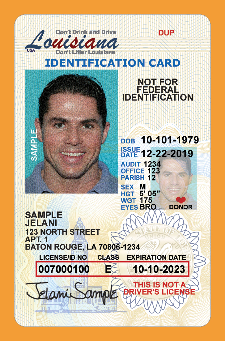 Duplicate ID Example 